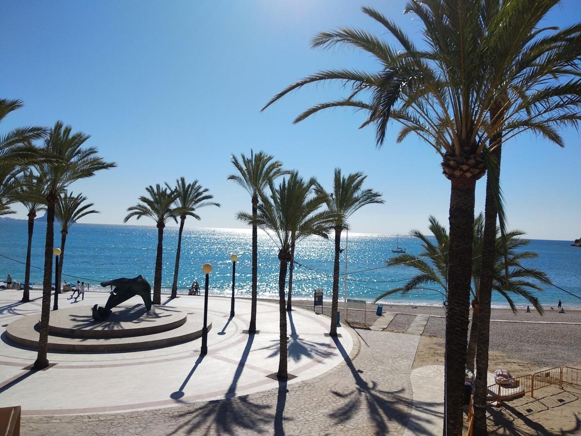 Albir El Albir